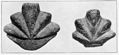 Name: Laking.jpg
Views: 20
Size: 35.3 KB