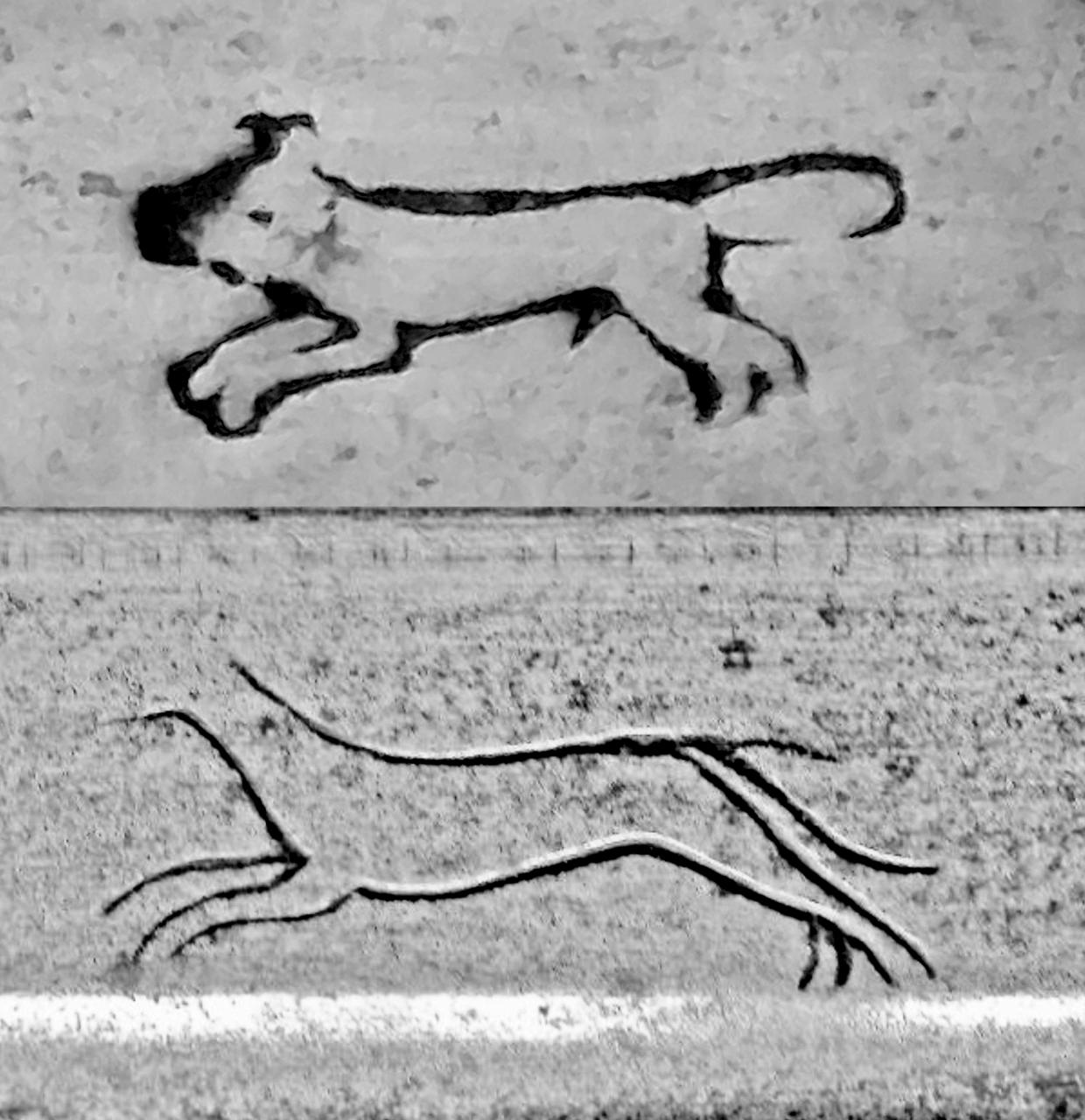 Name: BTFs.jpg
Views: 947
Size: 173.1 KB